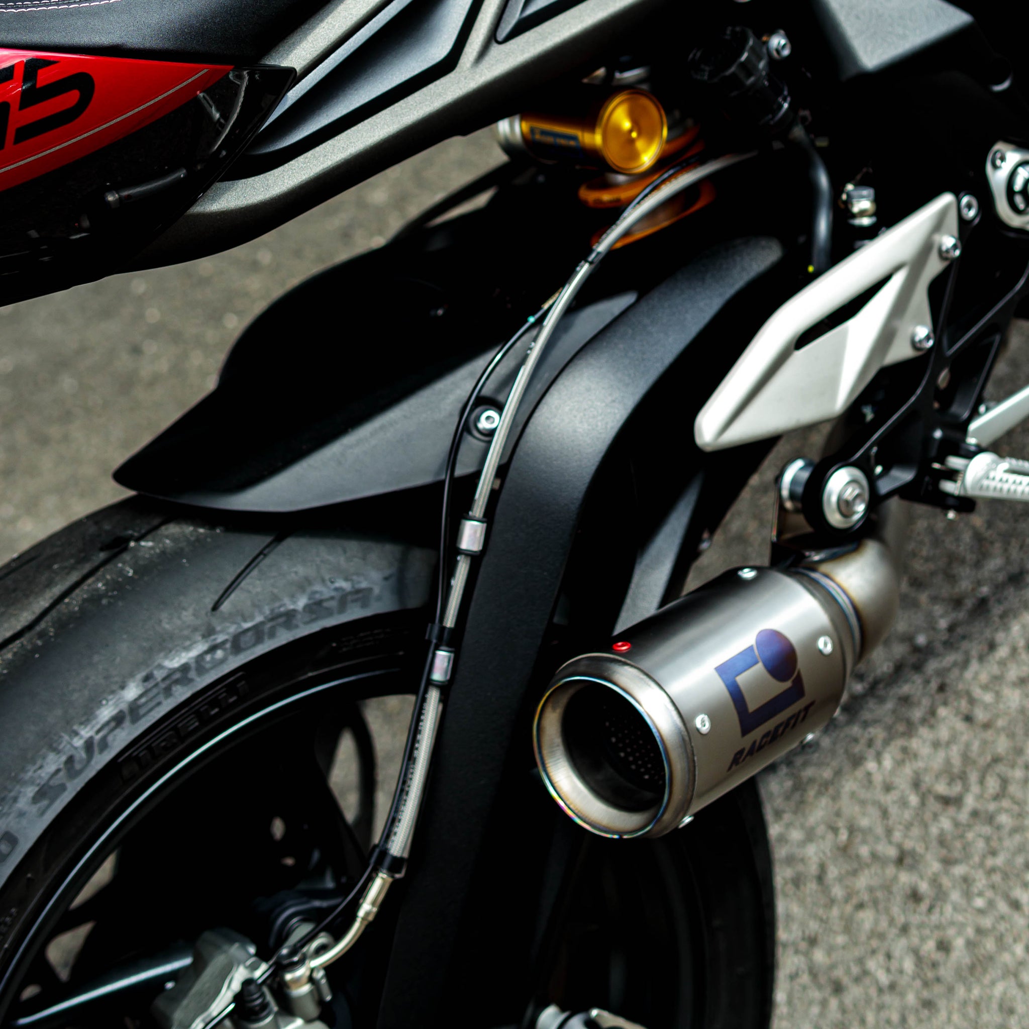 Street Triple 765 R/RS/RX - Moto2 2023 - 2026 Growler-X Full